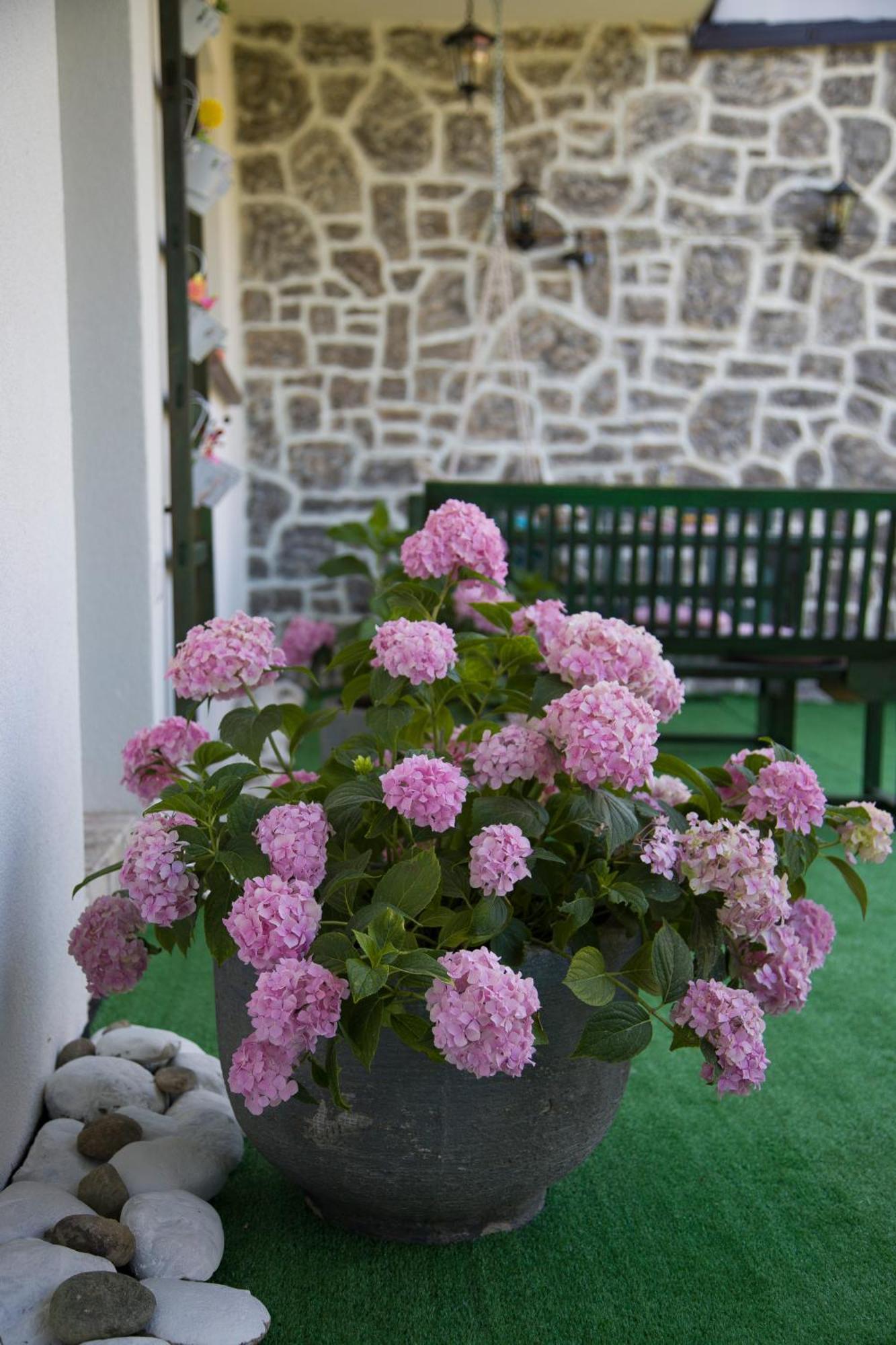 Apartman Flumen Mostar Exteriér fotografie